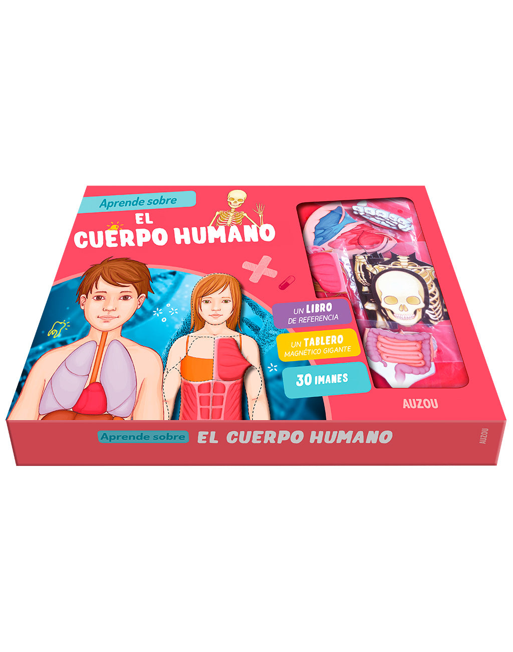 Aprende sobre el Cuerpo Humano Aprende sobre el Cuerpo Humano